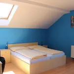维拉公园利普诺利普诺英酒店 度假居 伏尔塔瓦河畔利普诺