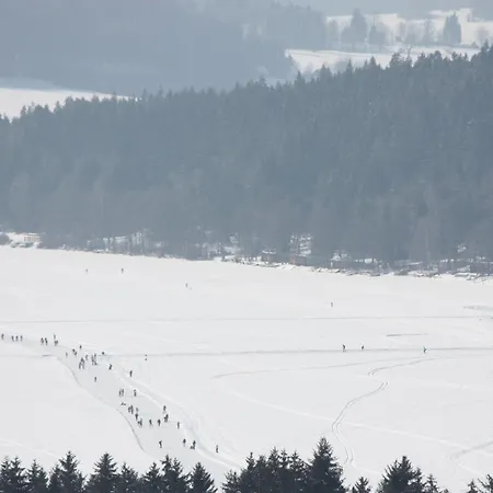 Park Lipno-lipno-in